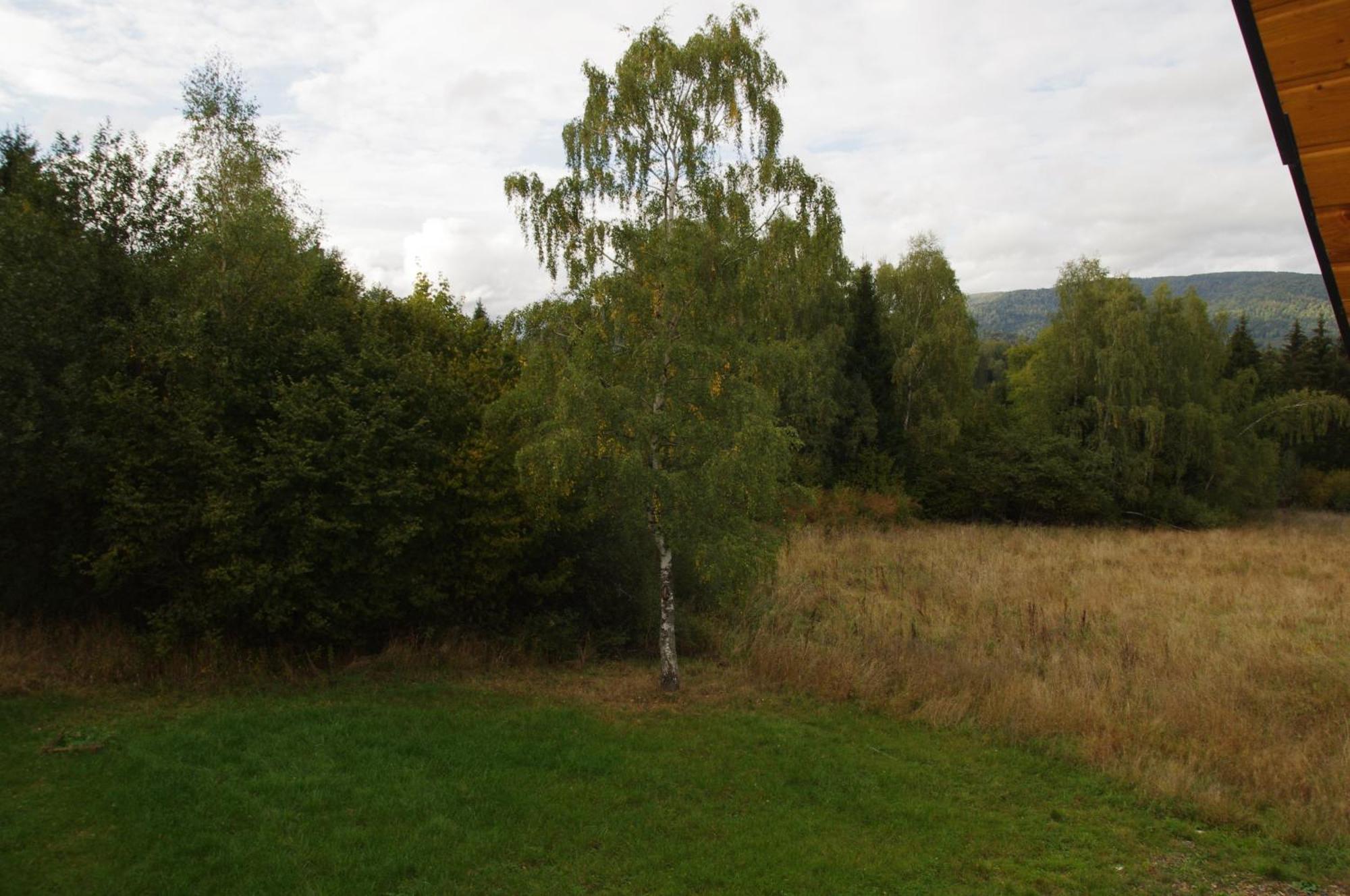 Magiczne Bieszczady - Smerek 86 Hotell Cisna Eksteriør bilde